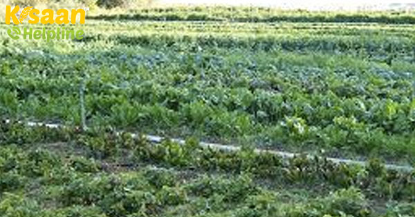 महाराष्ट्र में किसानों की मदद के लिए सरकार द्वारा अनुमोदित 700 करोड़ रुपये की एडीबी-वित्त पोषित परियोजना